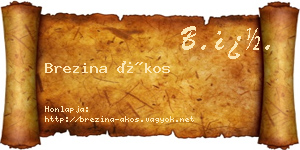 Brezina Ákos névjegykártya