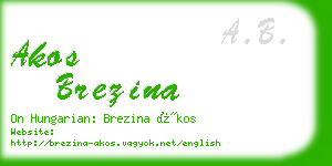 akos brezina business card